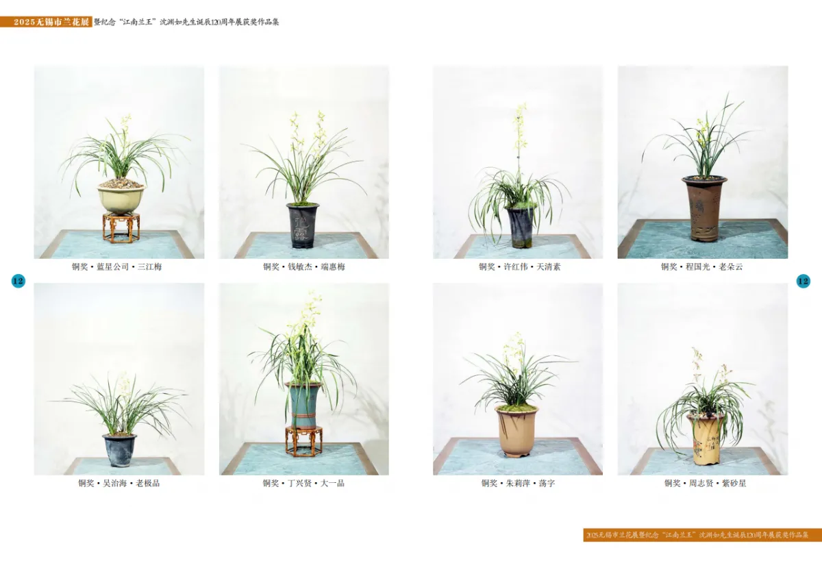 兰花展