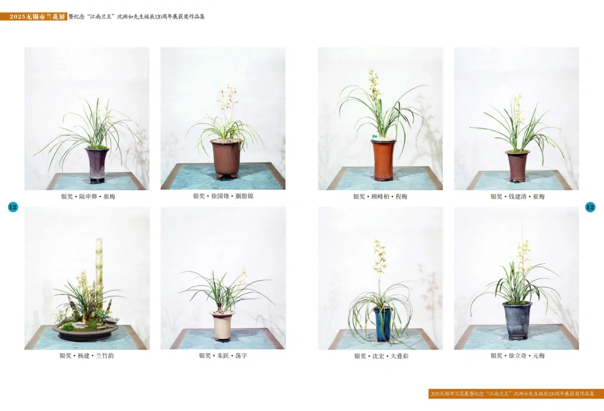 兰花展