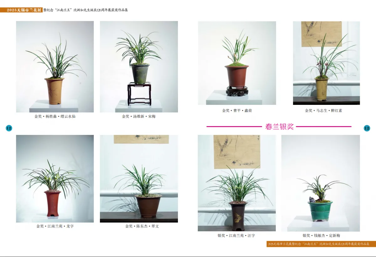 兰花展