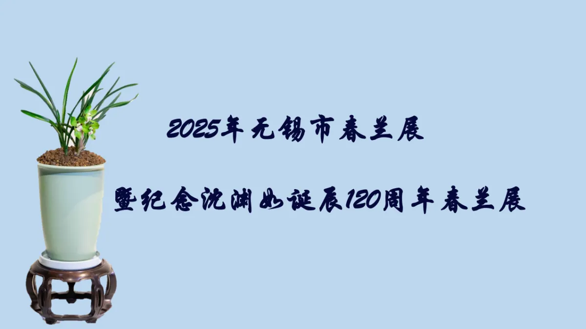 兰花展
